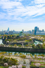 Fototapeta na wymiar 春の大阪城