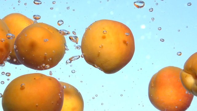 Apricot. Fresh and ripe organic apricots falling in water. Bio Fruits. Slow motion 240 fps. 