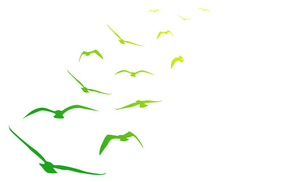 gabbiani, volare, volo, arcobaleno, pace
