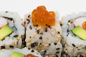 American sushi alaska roll.
