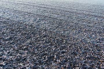 Frozen agricultural field.