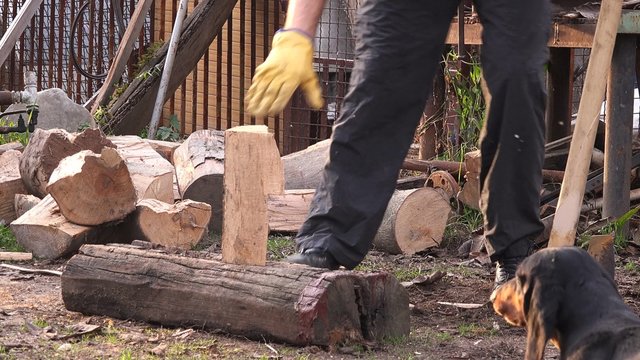 Lumberman cutting firewood logs with axe, man splitting wood to fit the fireplace
