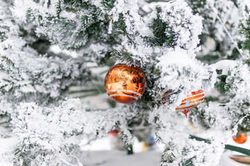 Snow-covered branch of a Christmas tree and red ball