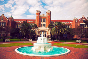 Florida State University - 96617275