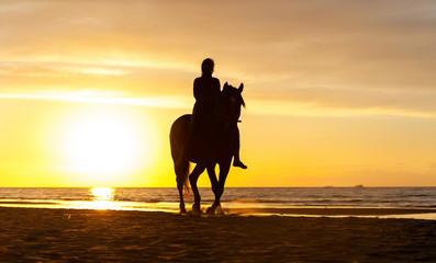Silhouette of horseriding along the Baltic sea coastline on suns