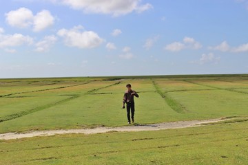 Wide, open landscape in the Schleswig-Holstein National Park Wattenmeer, Northern Germany. Mud-flats near the dike of Friedrichskoog. 