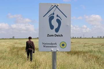 On the way to the dike of Friedrichskoog, in the Schleswig-Holstein National Park, Northern...