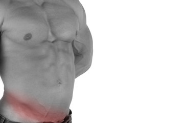 bodybuilder body closeup