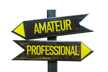 Amateur - Professional signpost isolated on white background