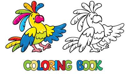 Funny parrot coloring book