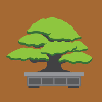 Image bonsai. flat design