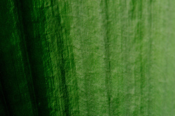mat Texture of leaf