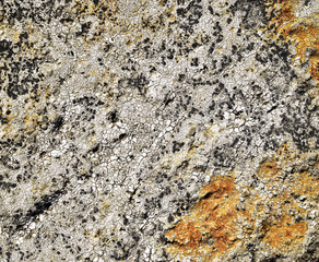 cracked limestone texture
