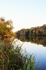 Autumn landscape at the river
