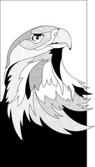 Eagle head in sketch interpretation 