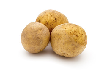 Potato isolated on white background close up.