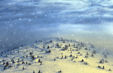 Fototapeta premium Peaks above clouds