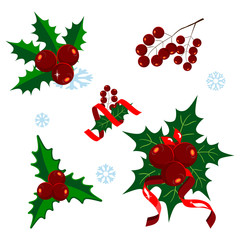 Fototapeta na wymiar Set of Christmas decorations. Christmas Mistletoe.