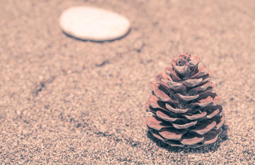 Pine cone and stones on a natural background of large sand or sm