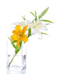 Lily Bouquet isolated on a white background