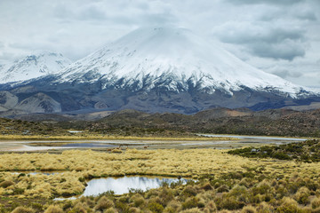 Snow capped Parinacota volcano