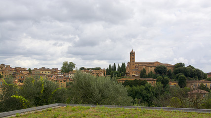 Fototapeta na wymiar Siena vista dalle colline