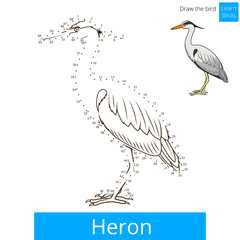 Heron bird learn to draw vector