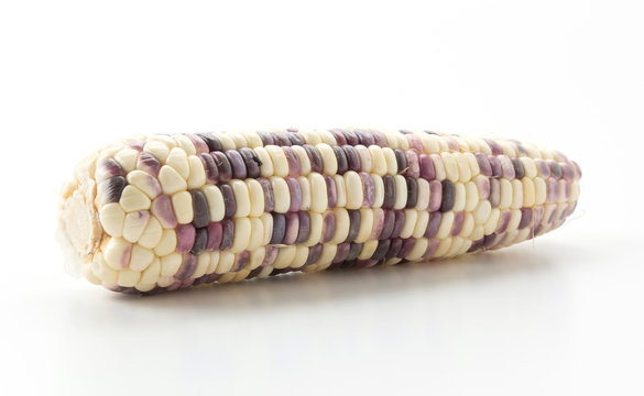 Waxy corn