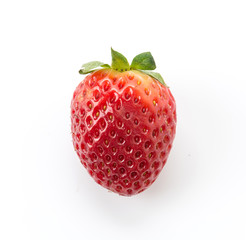 fresh strawberry