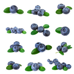 Blueberries Collection