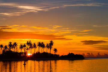 Fototapeta na wymiar Beautiful sunset with dark silhouettes of palm trees and amazing cloudy sky in tropical island