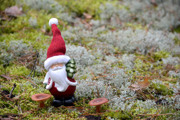 Santa standing on the moss