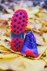 Pair of trail running shoes on autumn background