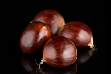 Obraz premium Chestnuts on a black reflective background