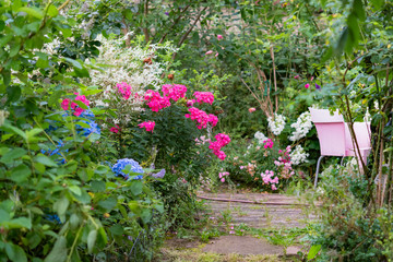 Beautiful overgrown summer garden scene with blooming colorful plants and chair