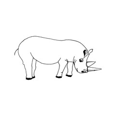 hand draw a rhino