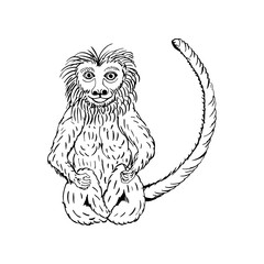 hand draw a monkey