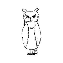 hand draw a sketch in the style of an owl 