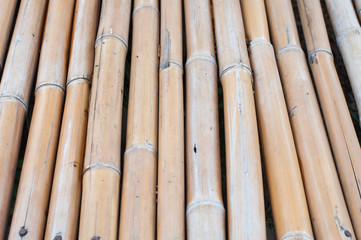 bamboo fence background