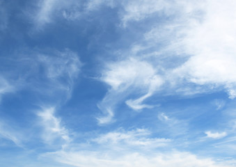 Obraz premium blue sky