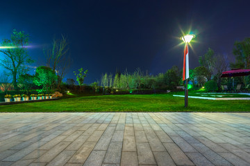 night scene in park