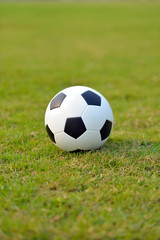 Fototapeta premium soccer field