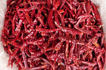 Fototapeta premium spices - dried red hot chilli chillies pepper