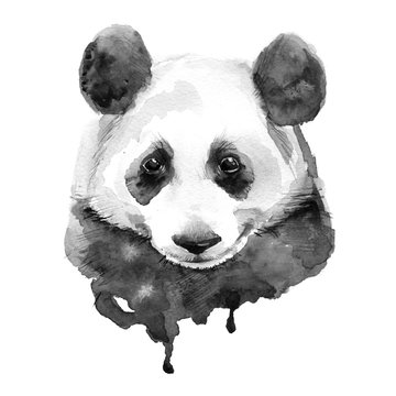 Panda.Black and white. Isolated