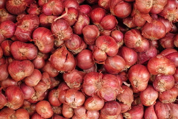 Shallot onions a group for background.