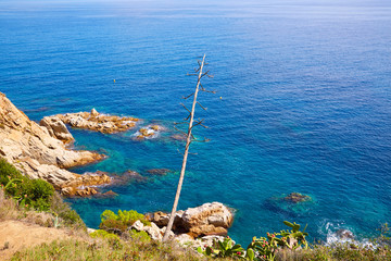 Costa Brava beach Lloret de Mar Catalonia Spain
