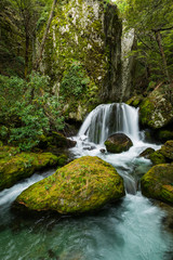waterfall in beech forest