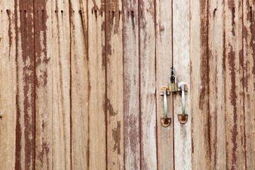 old wood door texture, background