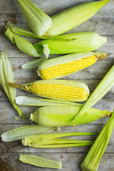 fresh corn on wooden table