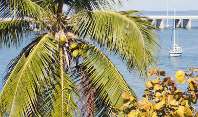 Vacations in Florida